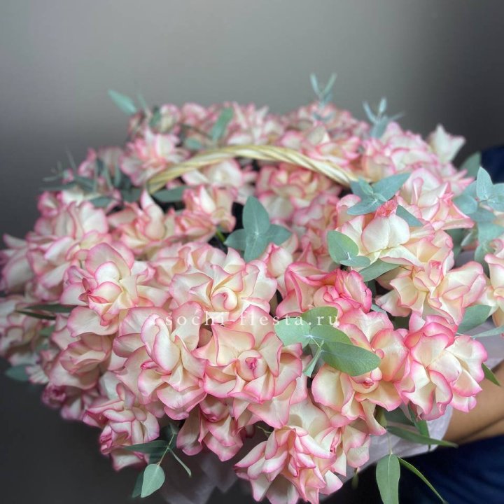 51 джумилия  в корзине   в Омске