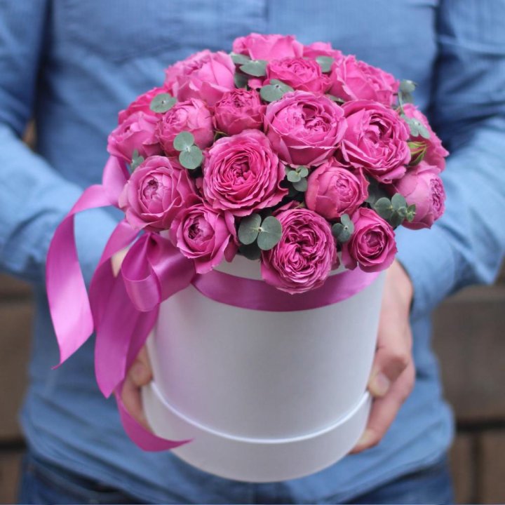 Бокс мисти баблс в Омске