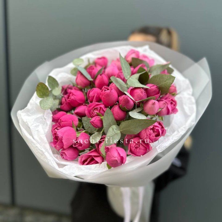 17 Мисти бабблс в Омске