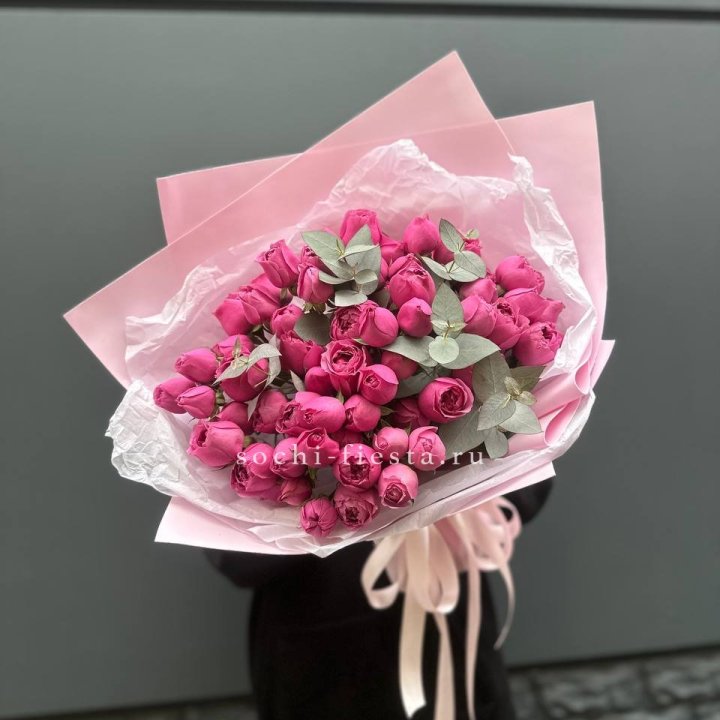 25 Мисти бабблс в Омске