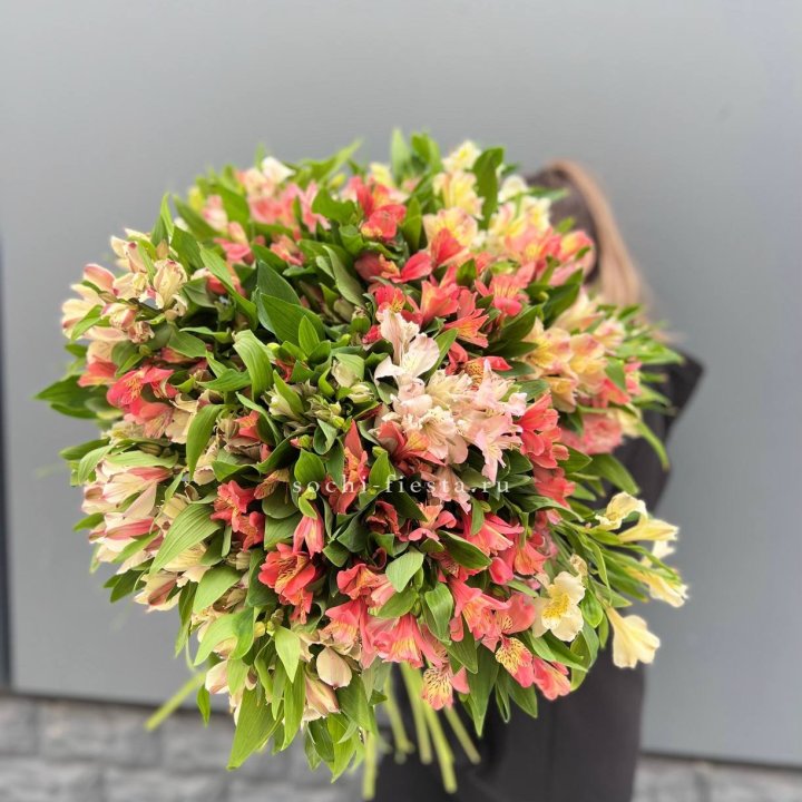 51 альстромерия в Омске