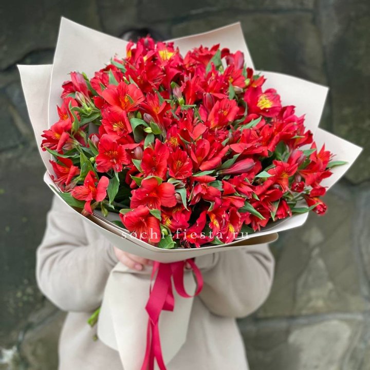 51 альстромерия в Омске