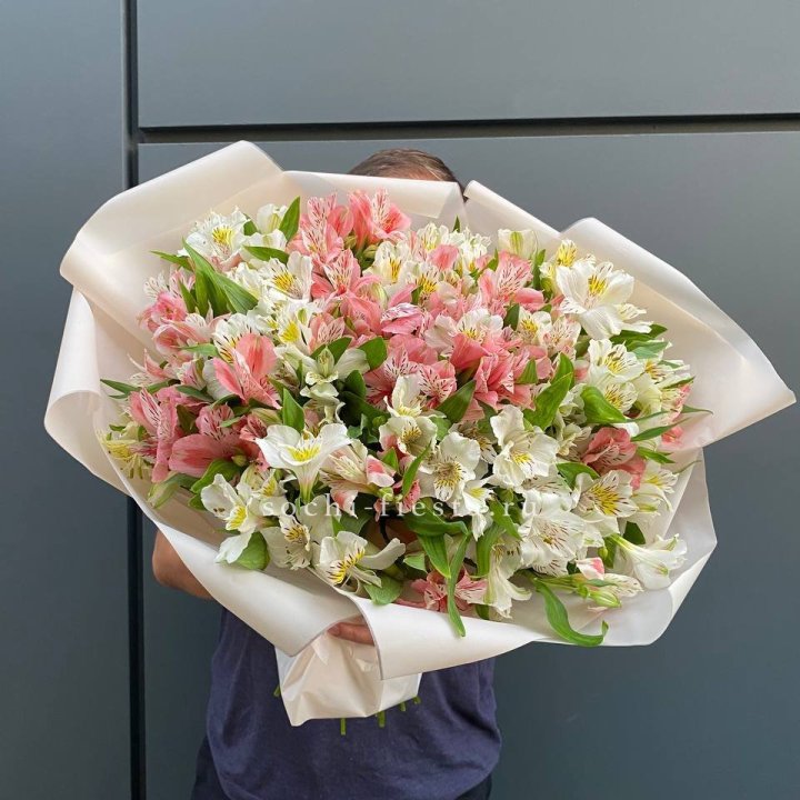 39 альстромерий в Омске