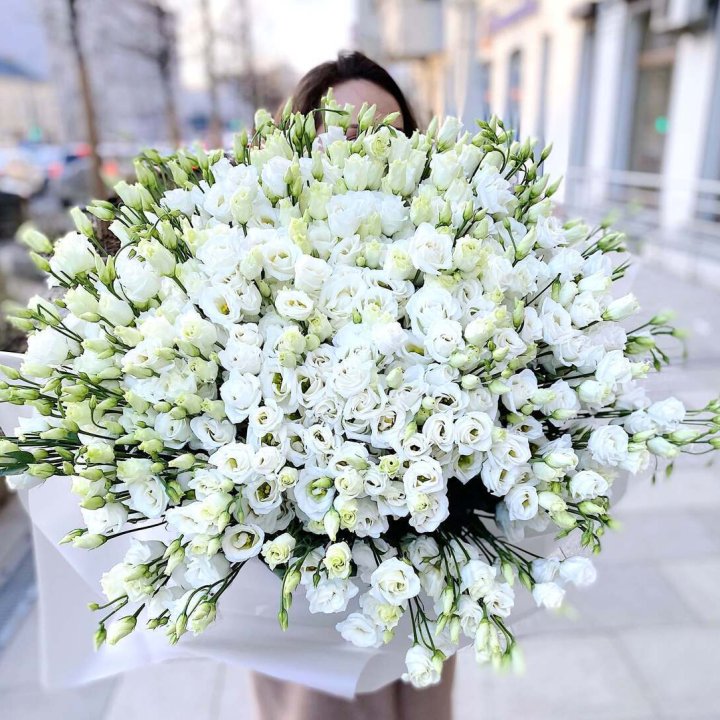 101 белая эустома в Омске