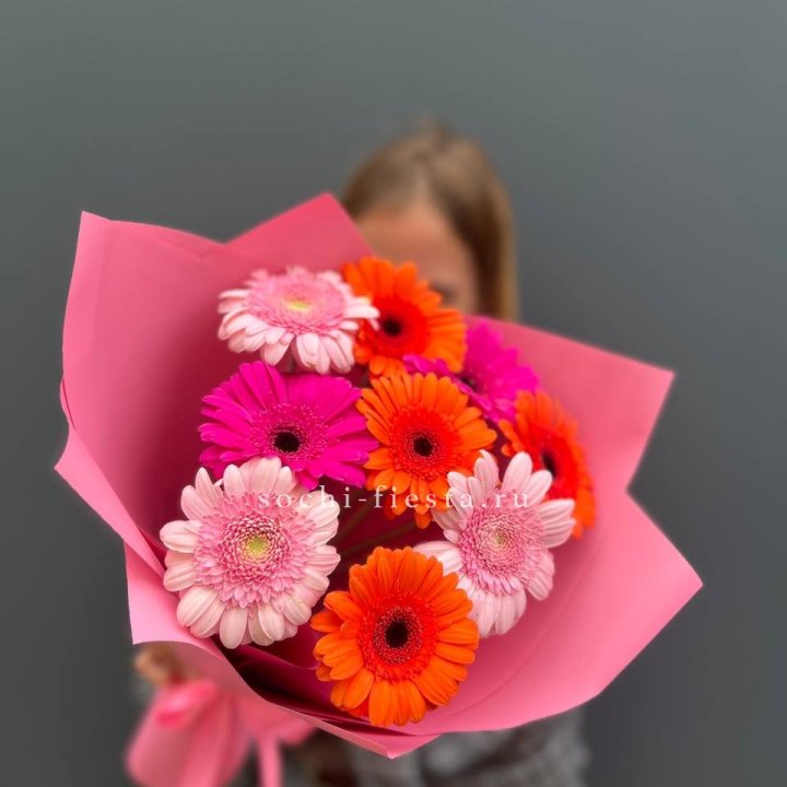 Краски в Омске