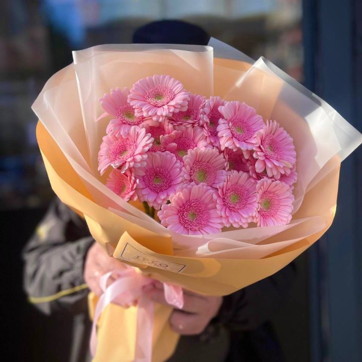 17 розовых гербер  в Омске