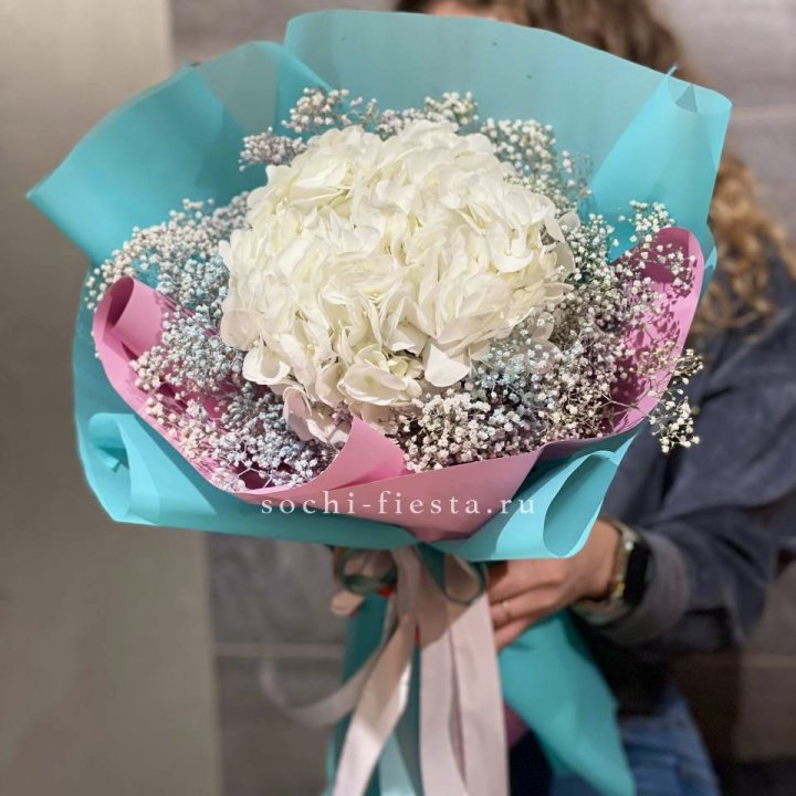 Гортензия "Райдов" в Омске