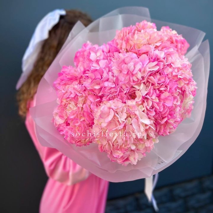 7 ярко розовых гортензий в Омске