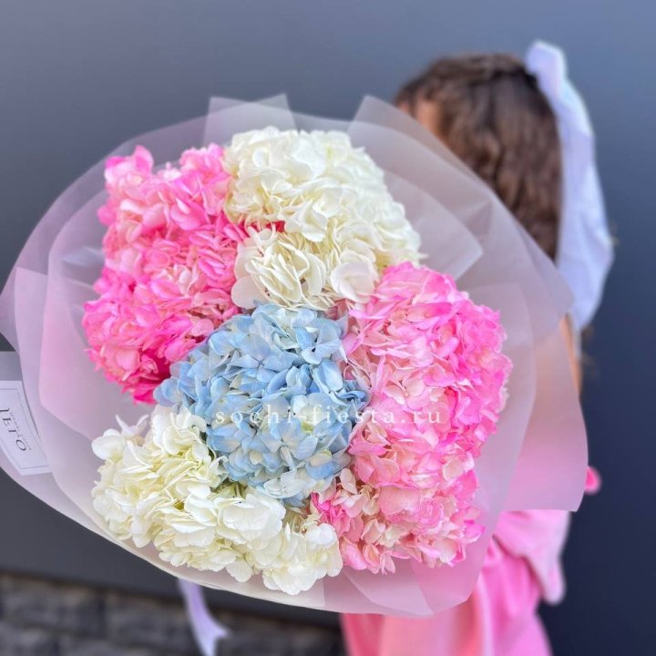 7 гортензий микс в Омске