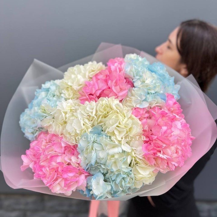 9 гортензий микс в Омске