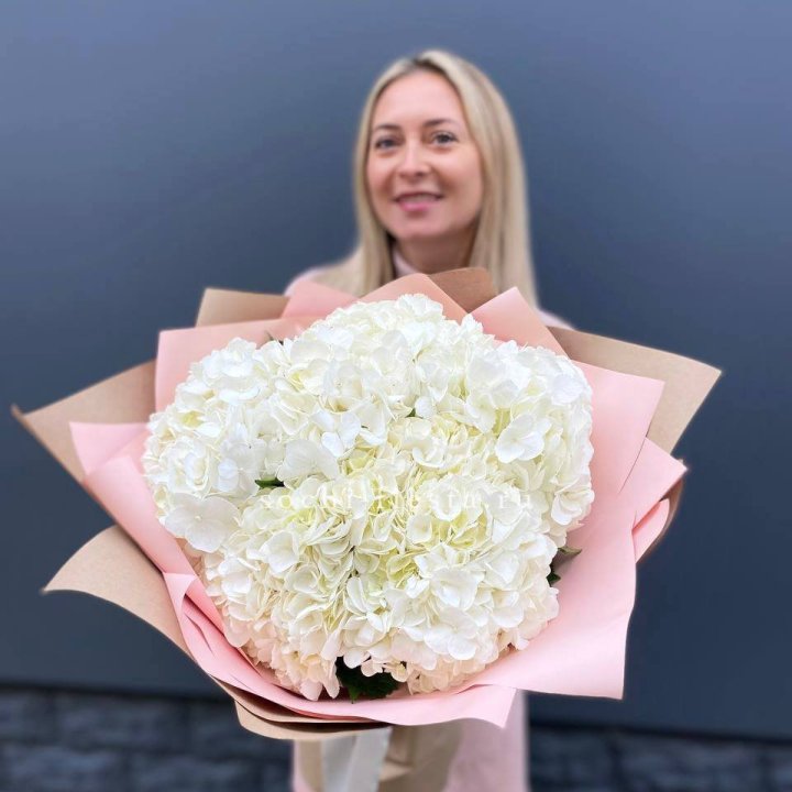 Гортензия белая в Омске