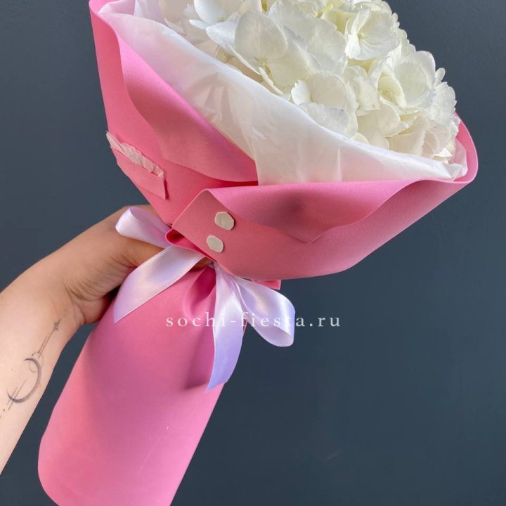 Гортензия в розовом пиджаке в Омске