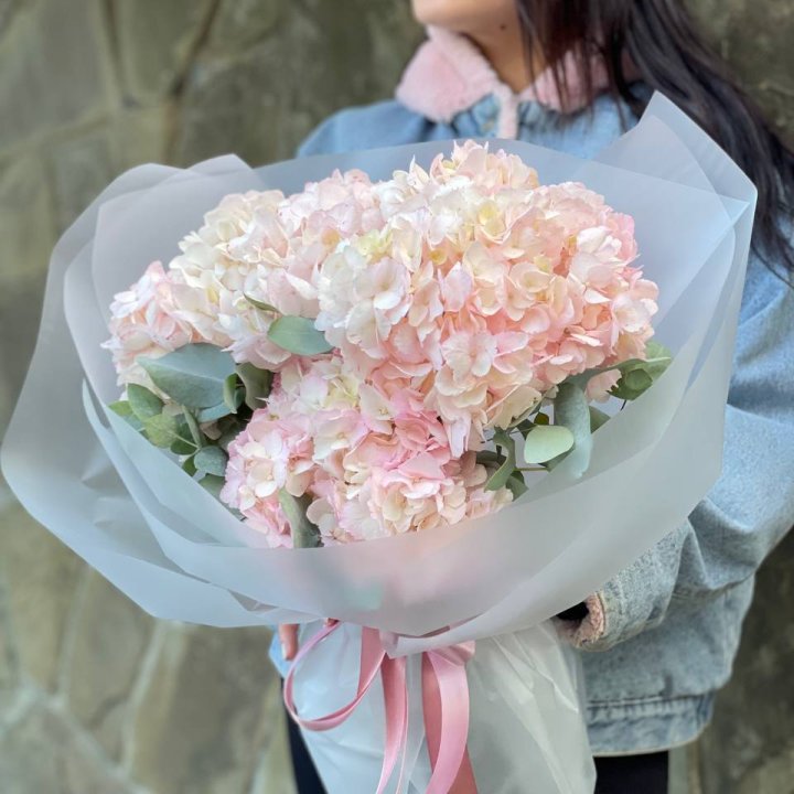 5 розовых гортензий в Омске