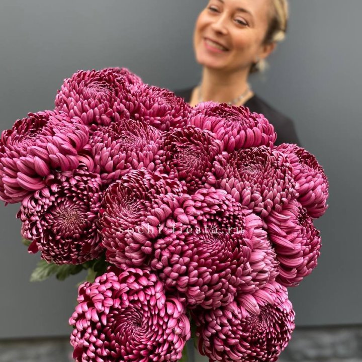 Охапка хризантем Бигуди в Омске