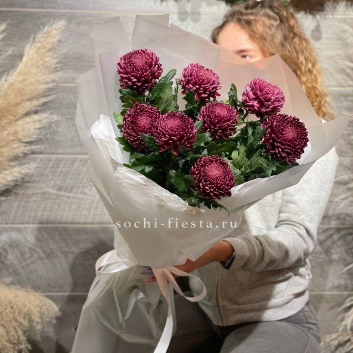 Хризантемы Бигуди в Омске