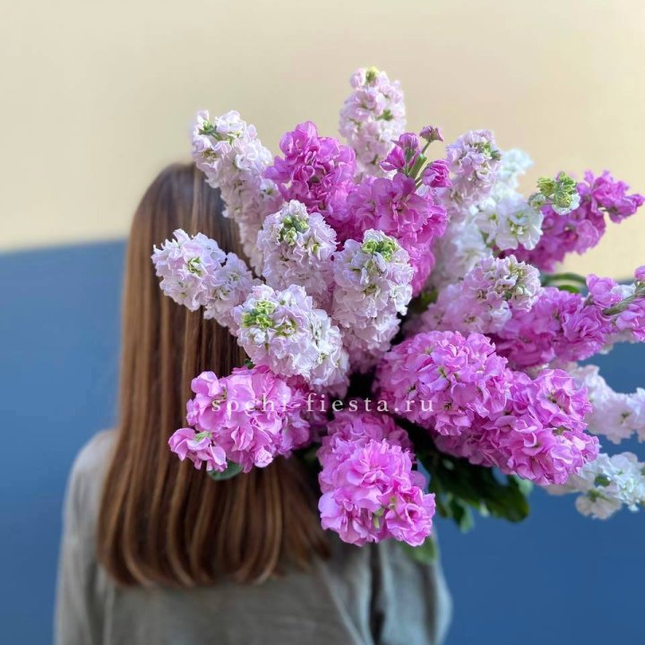 Охапка маттиолы в Омске