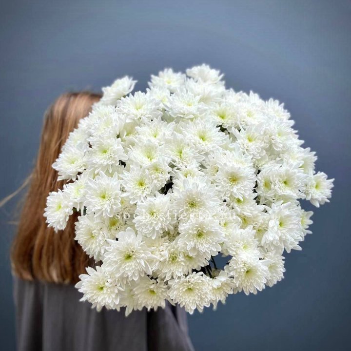 Охапка Хризантемы кустовой в Омске