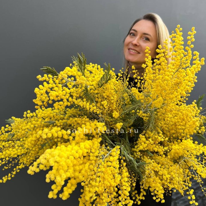 Охапка мимозы №2 в Омске