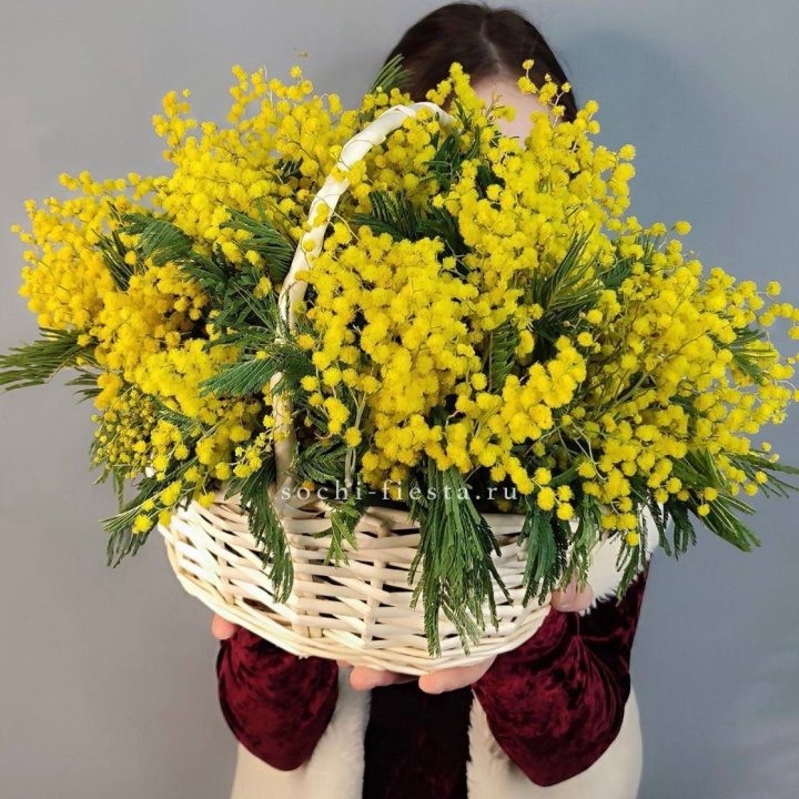 Корзина ароматной мимозы в Омске