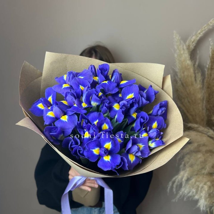 Ирисы в Омске