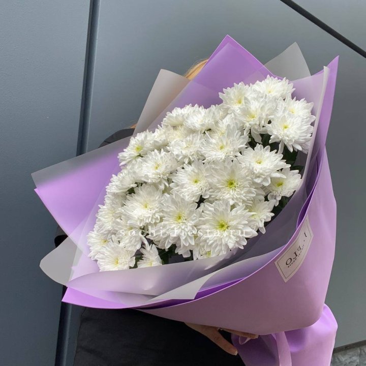  7 хризантем  в Омске