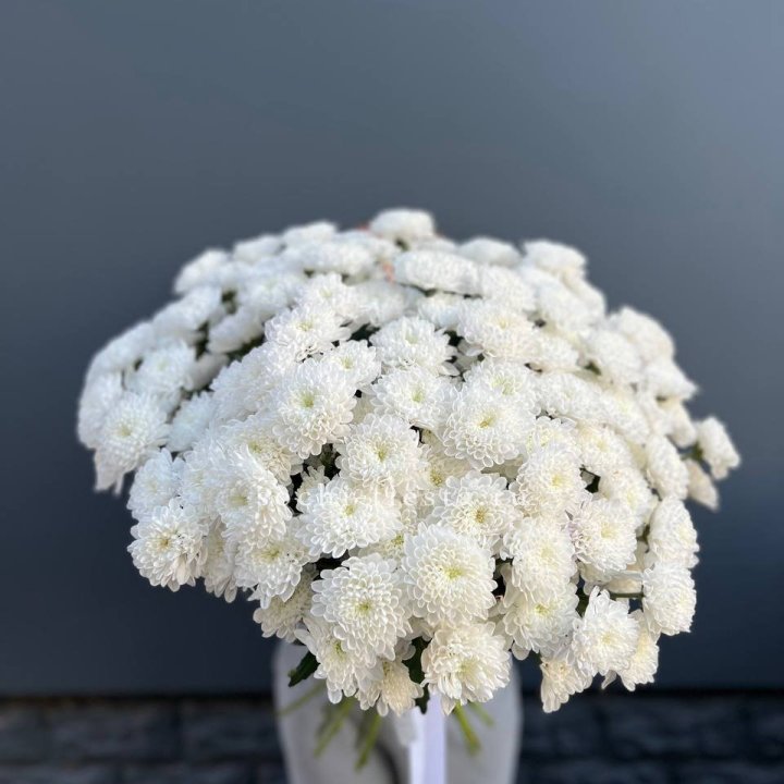  25 хризантем белых в Омске