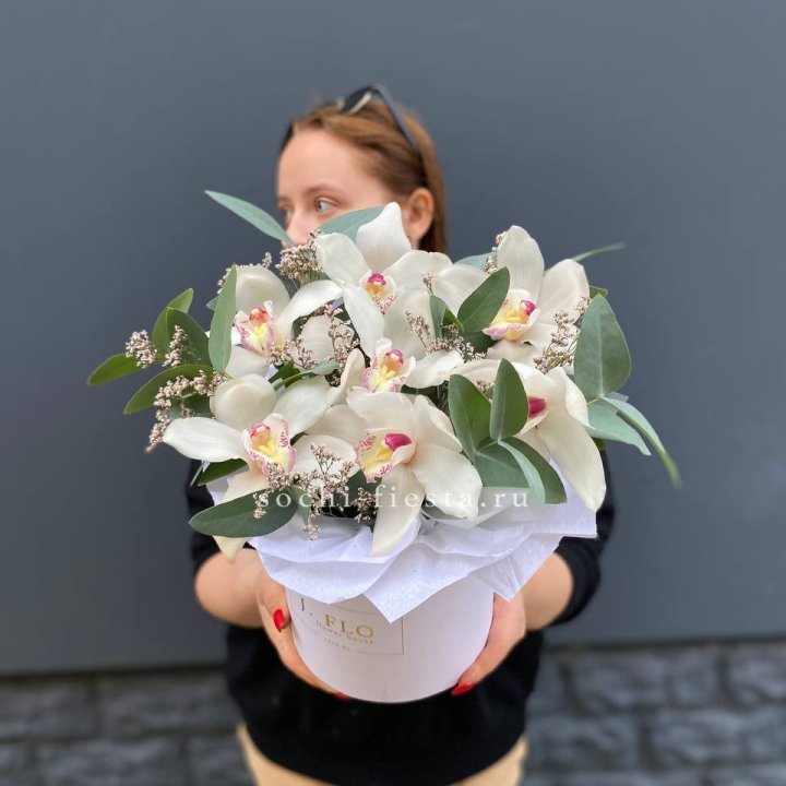 7 орхидей в боксе в Омске