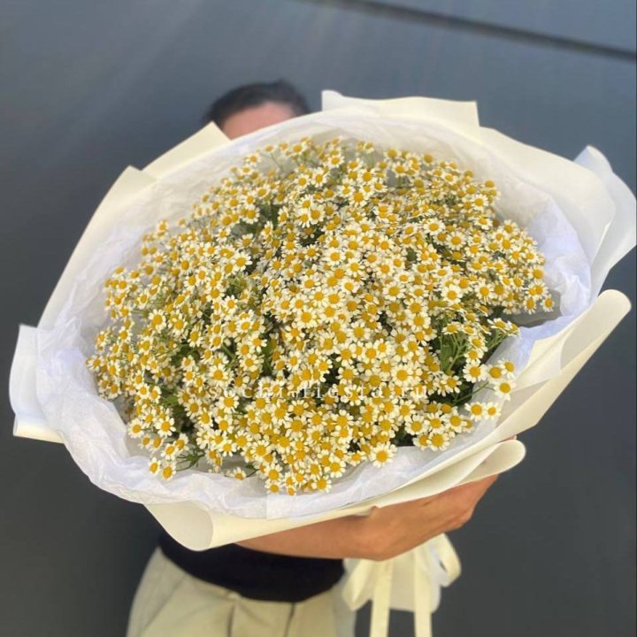 Букет ромашек №2 в Омске