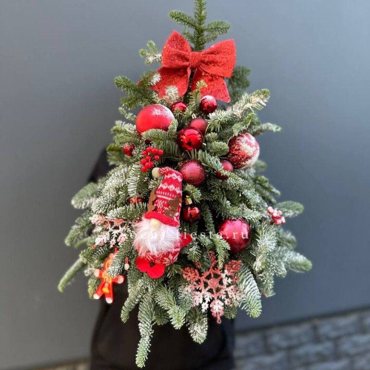 Новогодняя елочка "Ред" в Омске