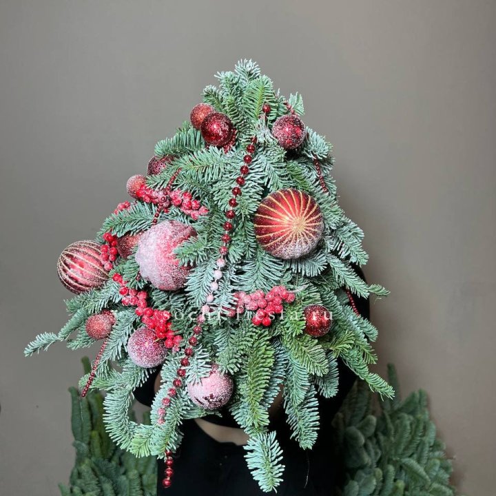 Ёлка красная в Омске