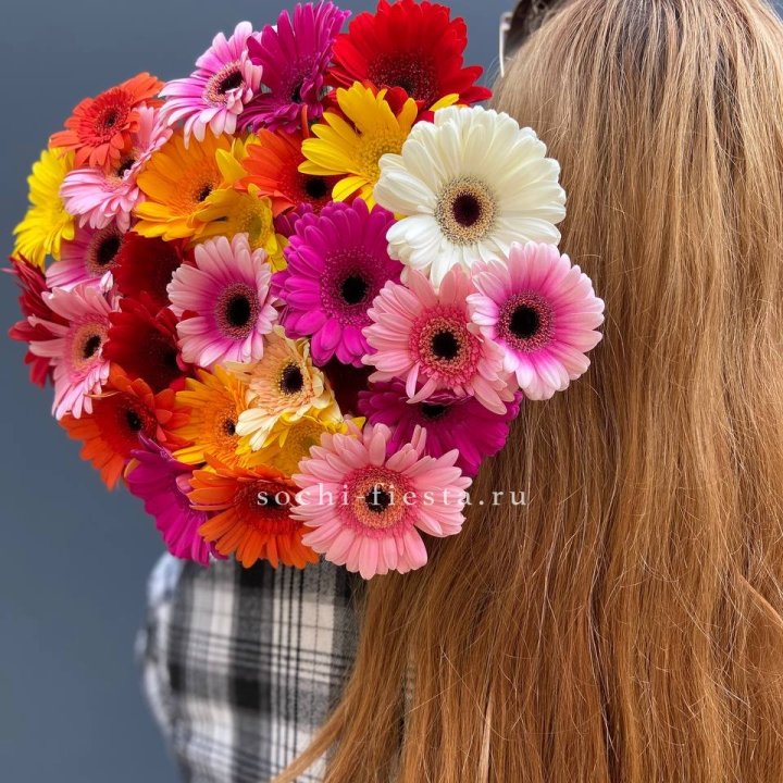 Охапка гербер  в Омске