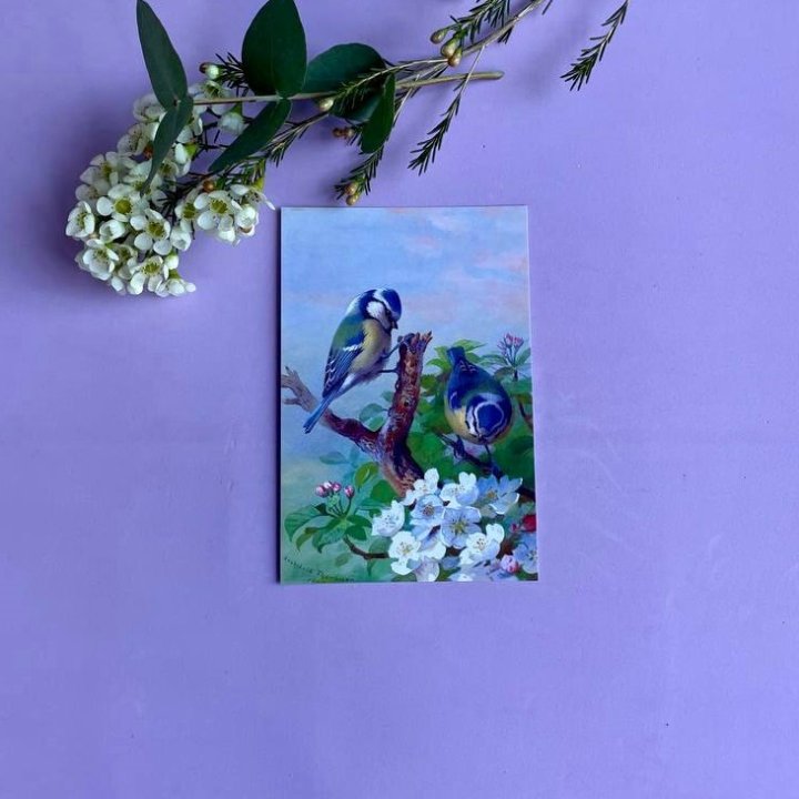 Открытка к букету "Птицы" в Омске