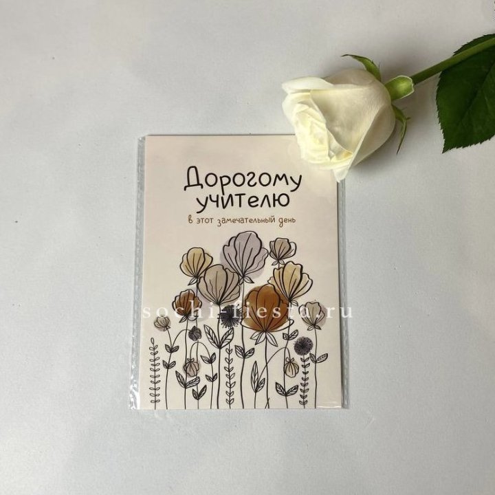 Открытка к букету "Дорогому учителю" в Омске