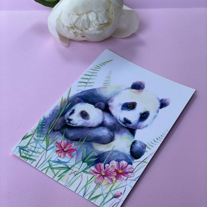 Открытка к букету "Объятие Панды" в Омске