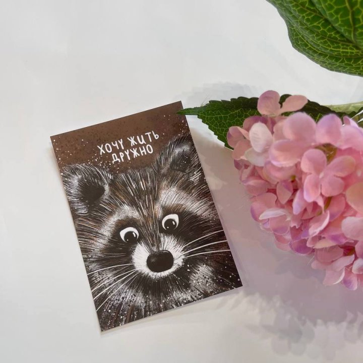 Открытка к букету "Енотик" в Омске