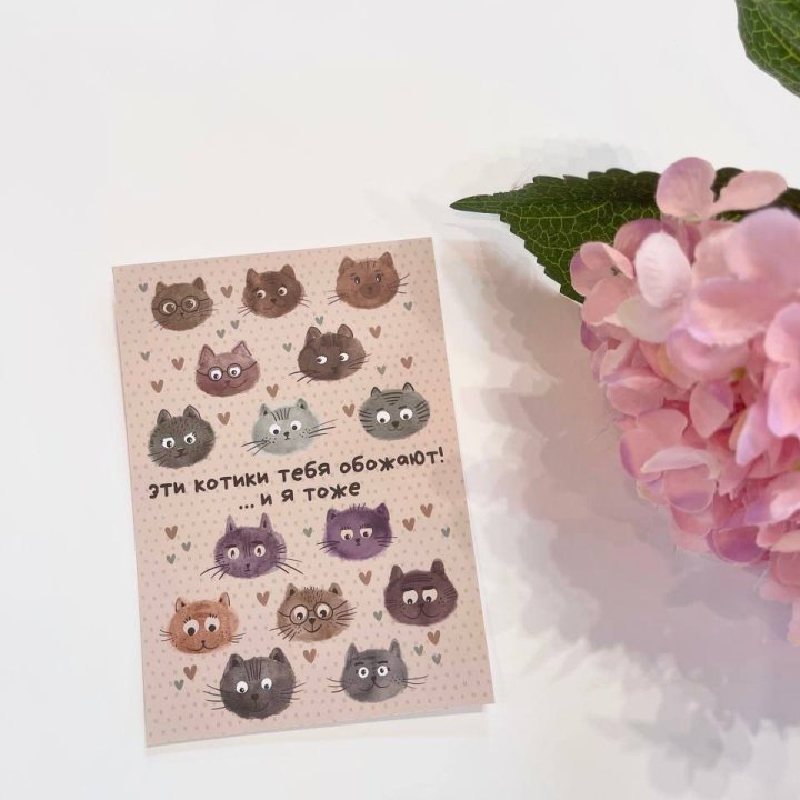 Открытка к букету "Котики" в Омске