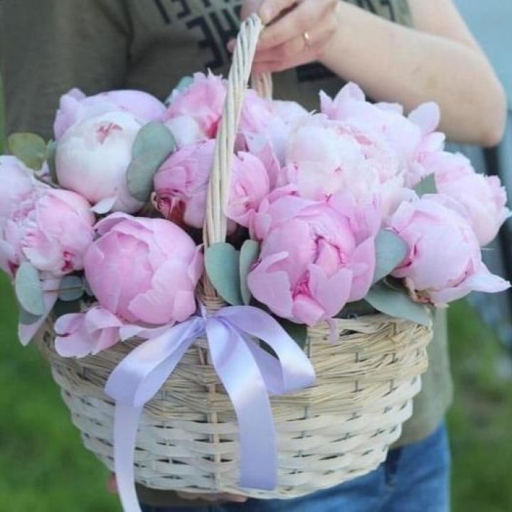 15 пионов в корзине в Омске