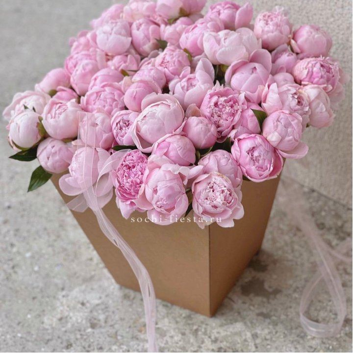 49 пионов в крафт коробке в Омске