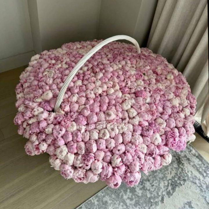 Корзина 555 пионов в Омске