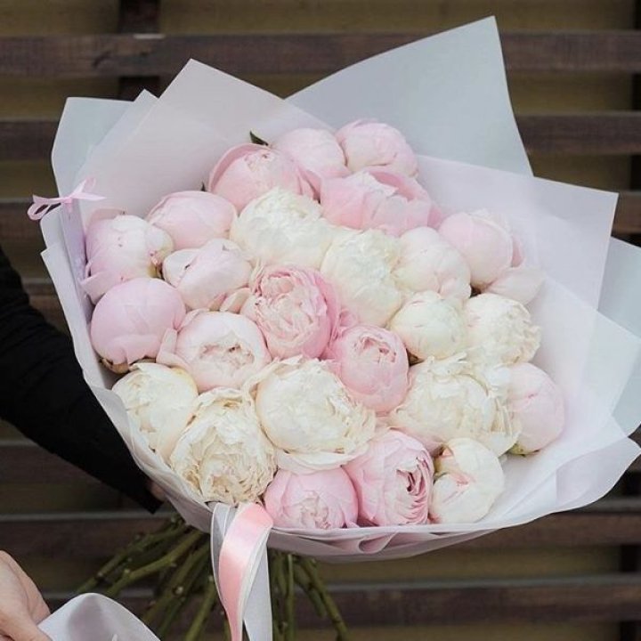 29 пионов в Омске