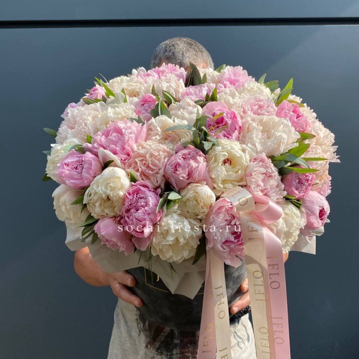 51 пионов в боксе в Омске