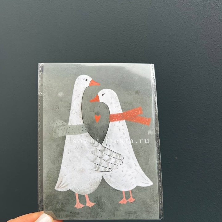 Открытка к букету "Гуси” в Омске