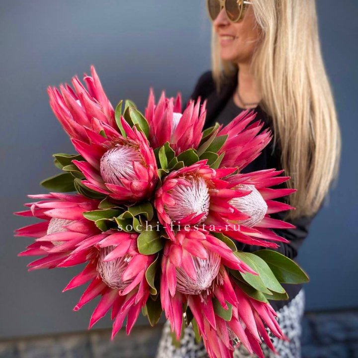 Протея штучно в Омске