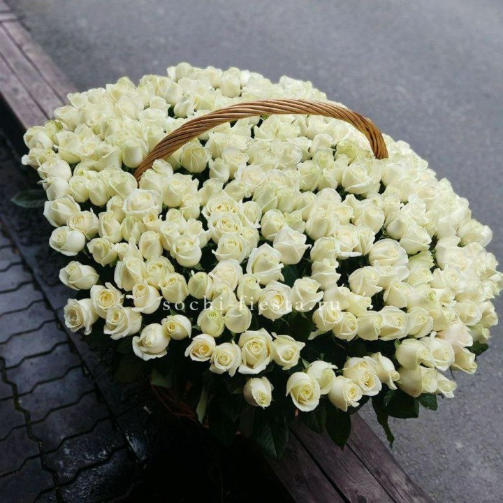 303 розы в корзине в Омске