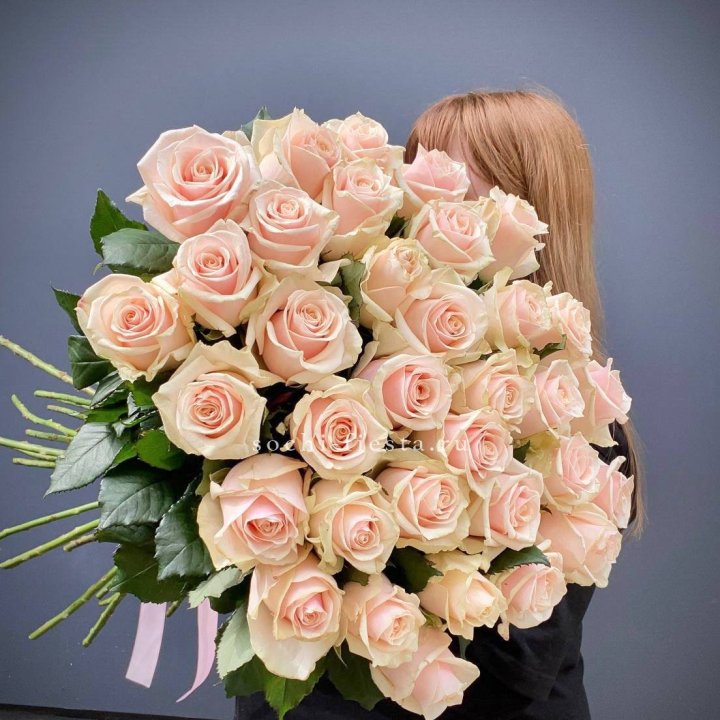 35 кремовых высоких роз в Омске