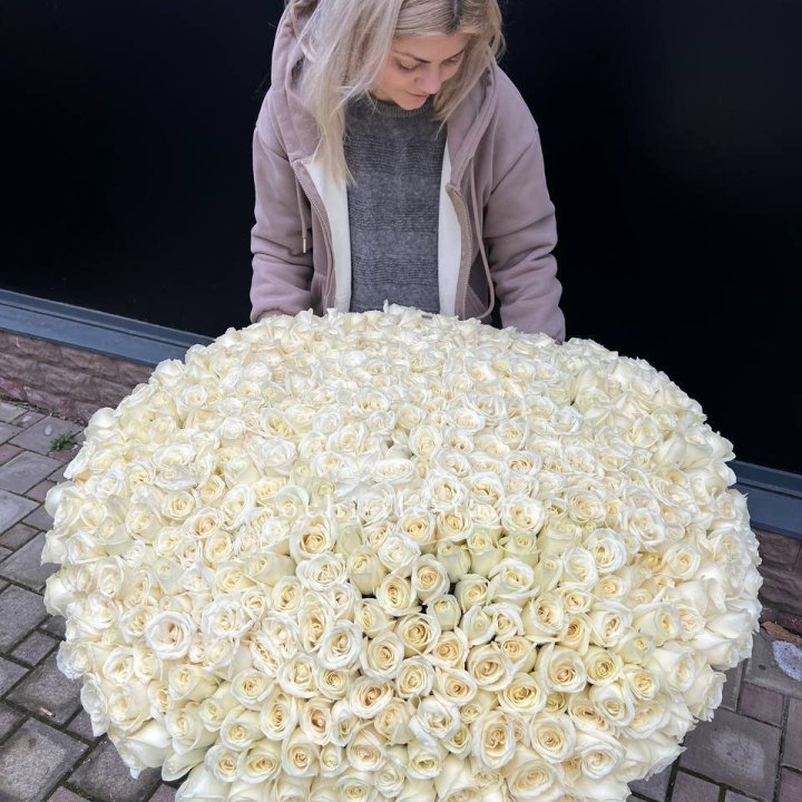 501 белая роза в корзине в Омске