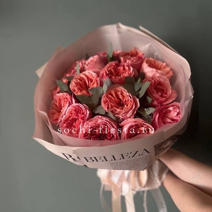 15 Пинк экспрешен в Омске