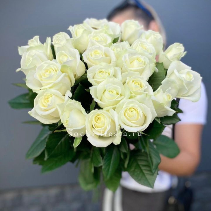 Голландские розы белые 25 в Омске