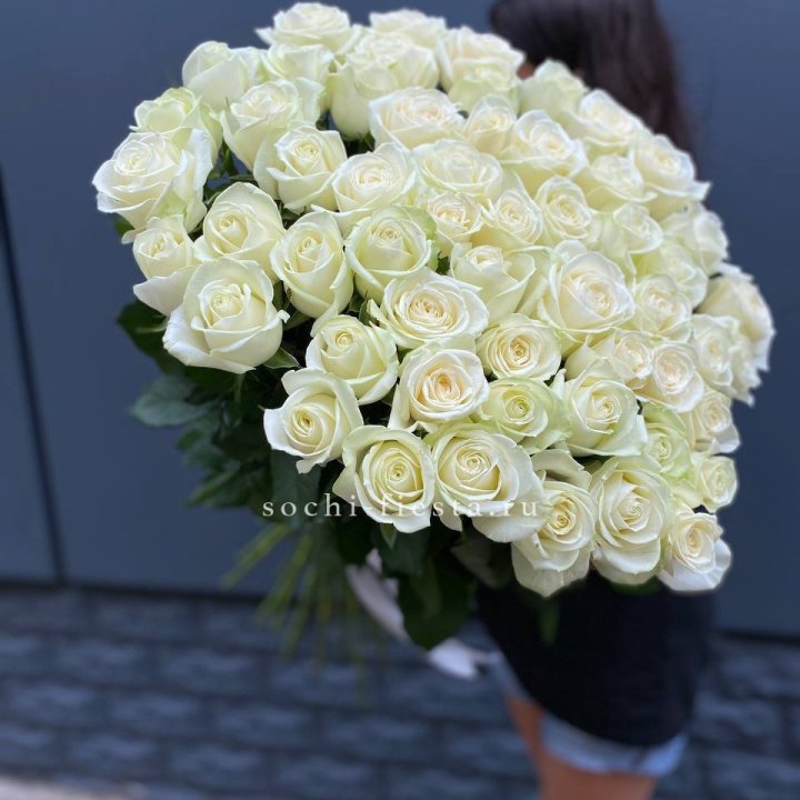 51 белоснежная высокая роза в Омске