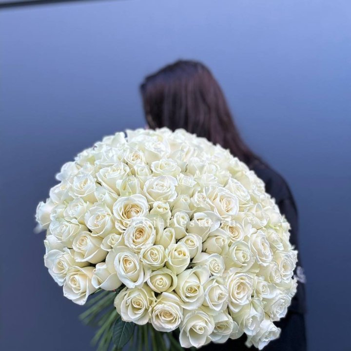 Охапка из 101 белой розы  в Омске